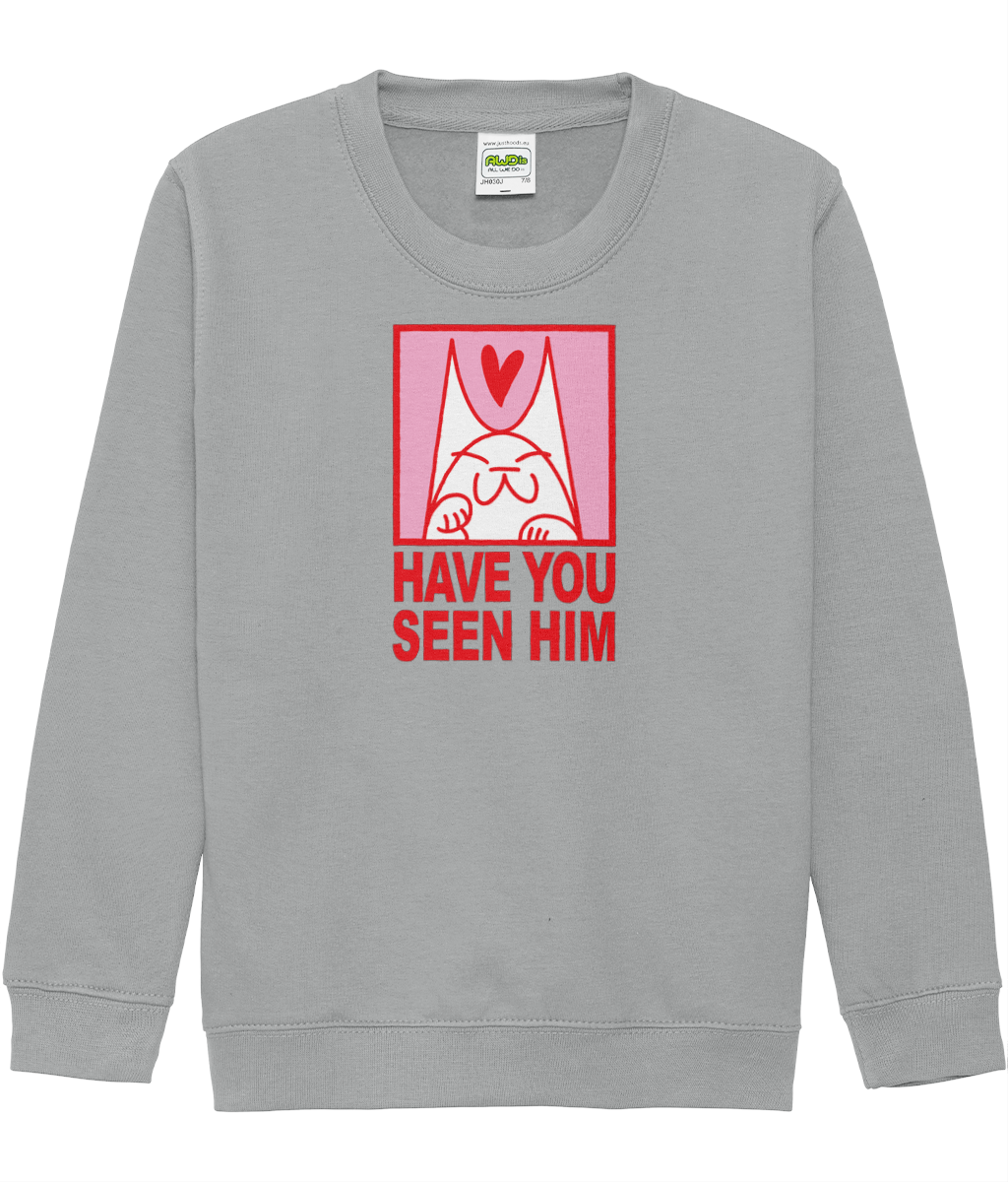 Kids Cat Neil Sweatshirt Grey